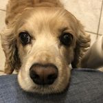 Bill Lasko - @bill.lasko - Instagram