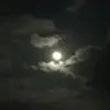 Billy Lasner - @its.just.billy - TikTok