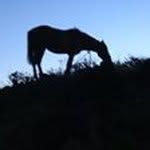 Bill Latham - @latham1252 - Instagram