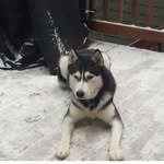 Will Lathrop - @will_lathrop - Instagram