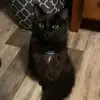 Bill Leasure - @billy.leasure - TikTok