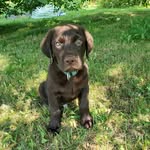 Billy Lebrun - @billylebrun - Instagram