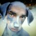 Bill Lehr - Facebook