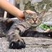 Bill Leung - Facebook
