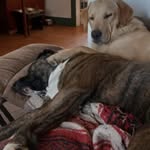 Bill Liggett - @bill.liggett.52 - Instagram