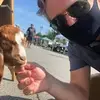 Blanketbingo - @billyliggett - TikTok