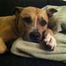 Boel Lindblom - Facebook