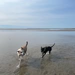 Bill Lovett - @billlovett11 - Instagram