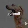 kachow - @billloyd24 - TikTok
