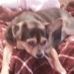 Bill Luce - @billwkl - Instagram