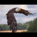 Bill Luce Jr - @jrbillluce - Instagram