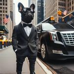 Bill Lucey - @billlucey - Instagram