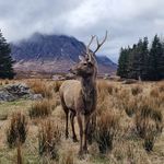 Billy Macfarlane - @macfarlanebilly - Instagram