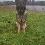 Bill Mackie - @bill.mackie.737 - Instagram