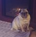 Bill Macmillan - Facebook