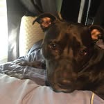 Billy Mancini - @billy.mancini - Instagram