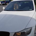 Bill Mancuso - @bill.mancuso - Instagram