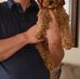 William Mancuso - Facebook