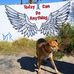 Billy Mandrell - Facebook