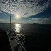 Billy Mangels - @billy.mangels - TikTok