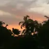 Billy Mangels - @billy_mangels - TikTok