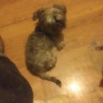Bill Manley - @bill.manley.733 - Instagram