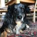 Bill Manns - Facebook