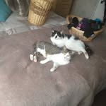 Bill And Manny - @xxbill_mannyxx - Instagram