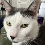 Bill Manzi - @wjmanzi - Instagram