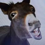 Dollarbill Mardis - @dollarbillmardis - Instagram