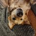 Bill Marek - Facebook