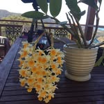 Bill & Marg - @billmargaret58 - Instagram