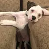 Bill Marinelli - @billmarinelli - TikTok