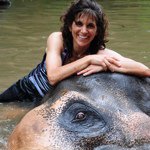 @marinellibill - Instagram