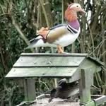Bill Markham - @bill576996 - Instagram