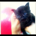 @markosbill - Instagram