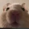 Mark - @billmarkousis - TikTok