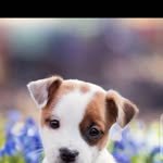 Bill Markson - @bill.markson.735 - Instagram