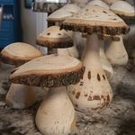 Bill Marlow - @williameric54 - Instagram