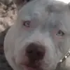 Billy Marney - @billy.marney3 - TikTok