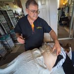 Bill Maroney - @maroneybill - Instagram