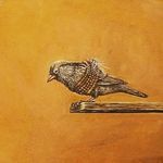 Bill Mars - @billmars17 - Instagram