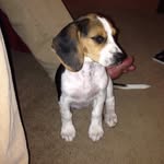 Bill Martens - @bill.martens.564 - Instagram