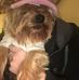 Bill Martindale - Facebook