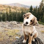 Bill Martini - @billmartini01 - Instagram