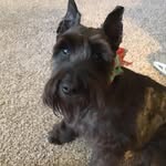 Bill Mashburn - @bill.mashburn.522 - Instagram