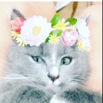 Billy Matchett - @billi_the_cat_23 - Instagram