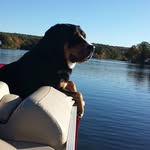 William Matchett - @matchett.bill - Instagram