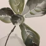 Bill Mathew Jr. - Facebook