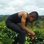 Bill Mathias - @mathias_bill - Instagram